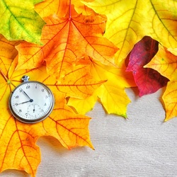 Пазл: Время осени