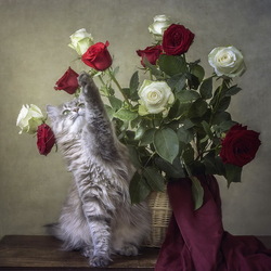 Пазл: Хочу вон тот цветок