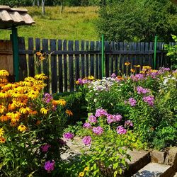 Пазл: У забора