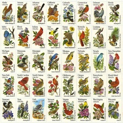 Пазл: Птицы Америки