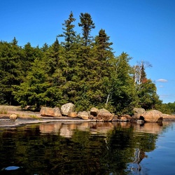 Пазл: Лесной островок