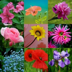 Пазл: Калейдоскоп