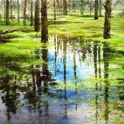 Пазл: Болото