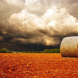 Пазл: Перед грозой