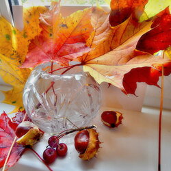 Пазл: Осеннее настроение