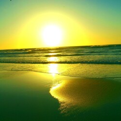 Пазл: Золотая дорожка