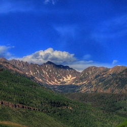 Пазл: Склоны леса