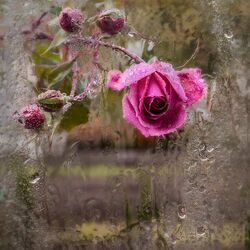 Пазл: Плохая погода