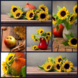 Пазл: Подсолнухи