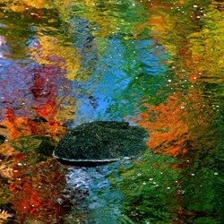 Пазл: Отражение осени