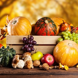 Пазл: Урожай