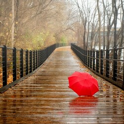 Пазл: Красный зонт