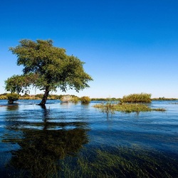 Пазл: Половодье