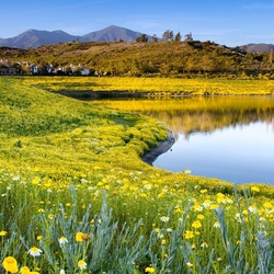 Пазл: Деревенский пейзаж