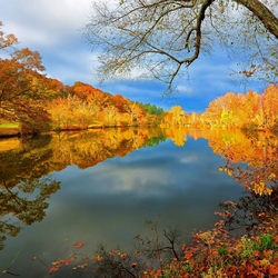 Пазл: Золотые берега