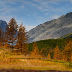 Пазл: Осень в горах