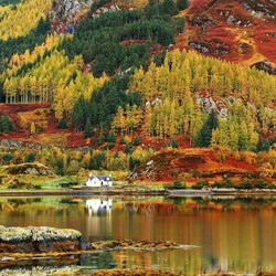 Пазл: Осенние красоты 