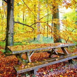 Пазл: Столик для пикника