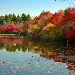 Пазл: Краски осени
