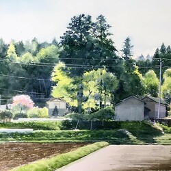 Пазл: Природа