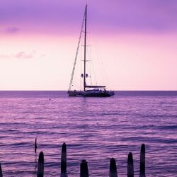 Пазл: Сиреневое море