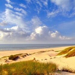 Пазл: Голландский берег