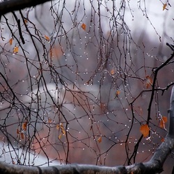 Пазл: Дождливые аккорды сентября