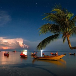 Пазл: Тропическая гроза