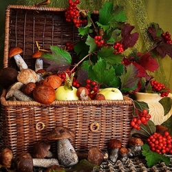Пазл: Полна корзиночка