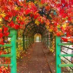 Пазл: Осень