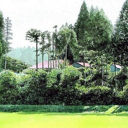 Пазл: Там за деревьями