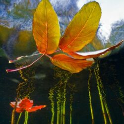 Пазл: Погода и природа