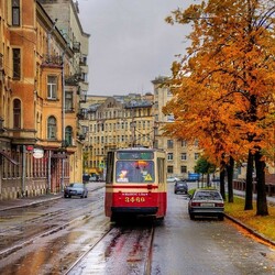 Пазл: Петроградская сторона