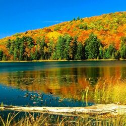 Пазл: На мелководье