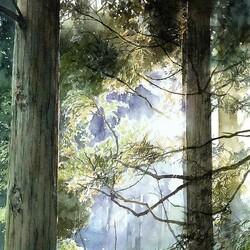 Пазл: Солнце сквозь листву