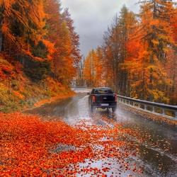 Пазл: Осенний серпантин в Альпах