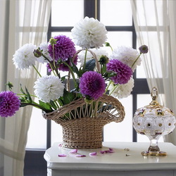 Пазл: Натюрморт с георгинами