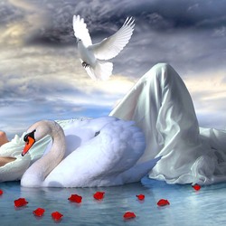 Пазл: Любовь и нежность