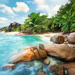 Пазл: Тропический берег