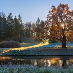 Пазл: Морозное утро