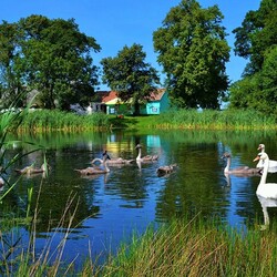 Пазл: Деревенский пруд
