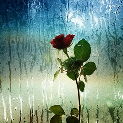 Пазл: Плохая погода