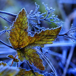 Пазл: Скоро зима