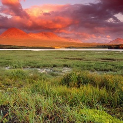 Пазл: Красоты природы