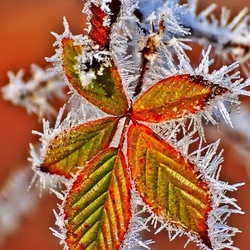 Пазл: Дыхание зимы