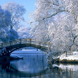 Пазл: В зимнем парке