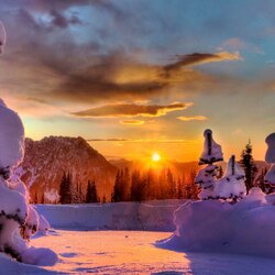 Пазл: В ожидании