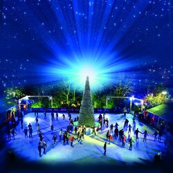 Пазл: Новый год на катке