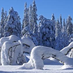 Пазл: Зимние причуды