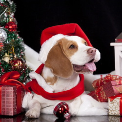 Пазл: Новогодний